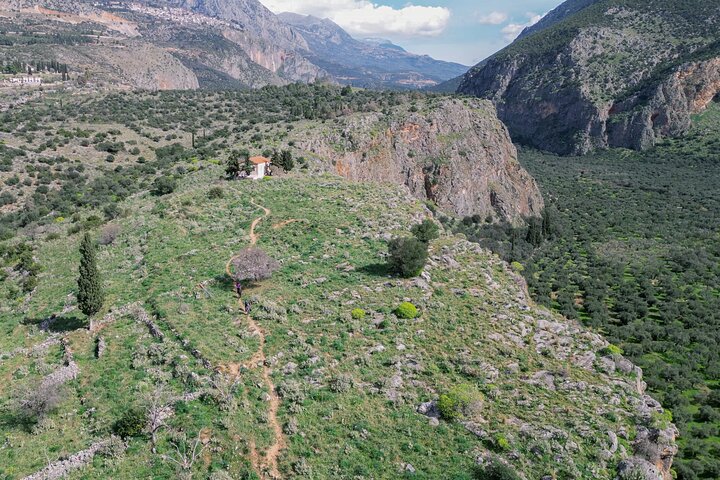 Hike on Ancient Path through the Olive Groves in Delphi