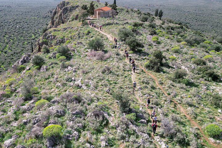 Hike on Ancient Path through the Olive Groves in Delphi