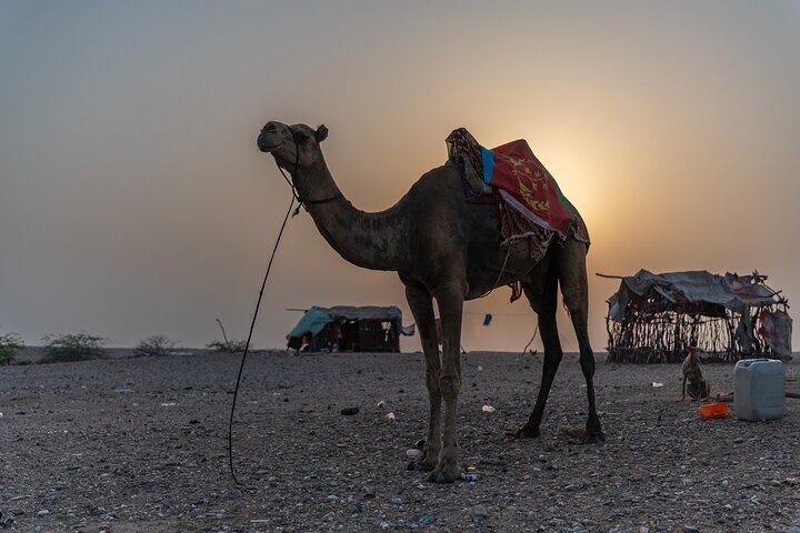 7 Days Private Eritrea Tour