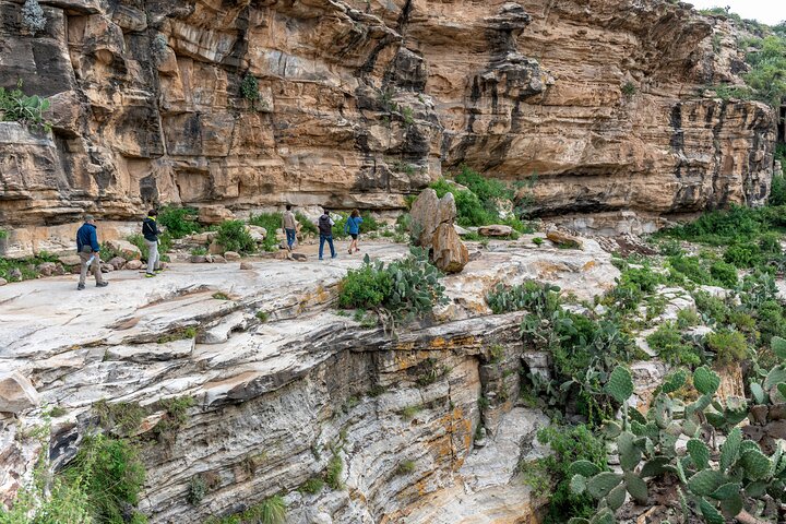 8 Days in Eritrea Asmara Ancient Sites and Red Sea Paradise