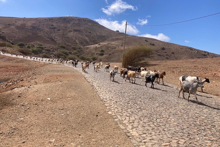 Monte Verde and Villages, São Vicente, Half day