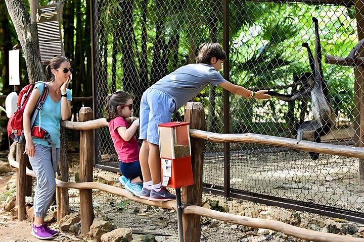 Tour to Uxmal Kabah and Chocolate Museum from Mérida