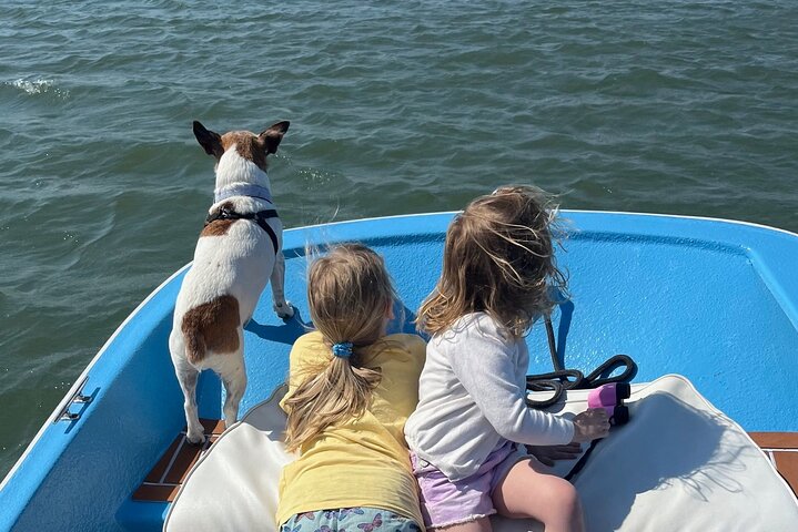 Morris Island Dolphin Cruise and Shelling Trip