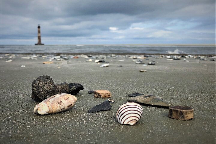 Morris Island Dolphin Cruise and Shelling Trip