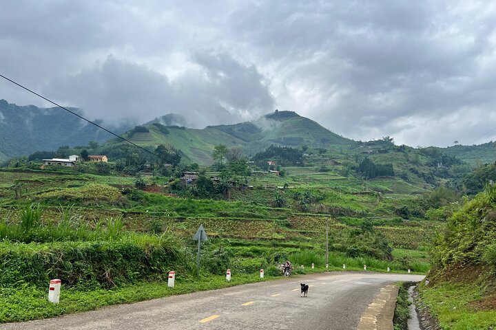 Ban Gioc Waterfall - Nguom Ngao Cave Full Day Tour