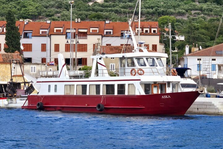 Fd boat-trip Medulin - Blue cave - Cres + lunch + dolphin search
