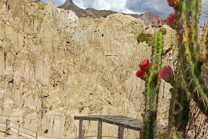 Valle de Las Animas, Moon Valley and Killi Killi half day tour