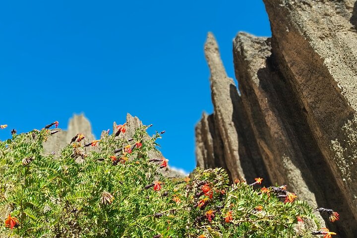 Valle de Las Animas, Moon Valley and Killi Killi half day tour