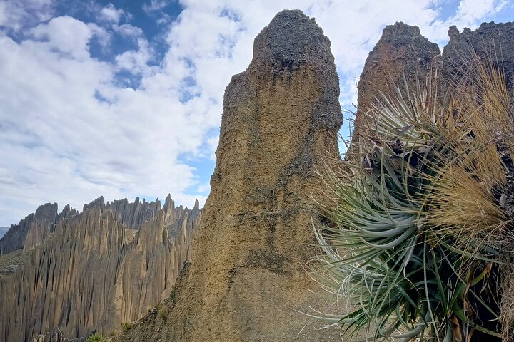 Valle de Las Animas, Moon Valley and Killi Killi half day tour