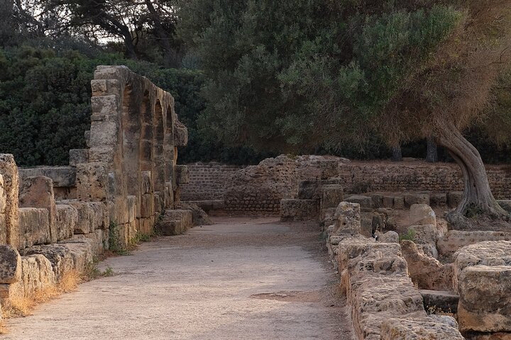 Explore the Ruins of Tipaza and Cherchell