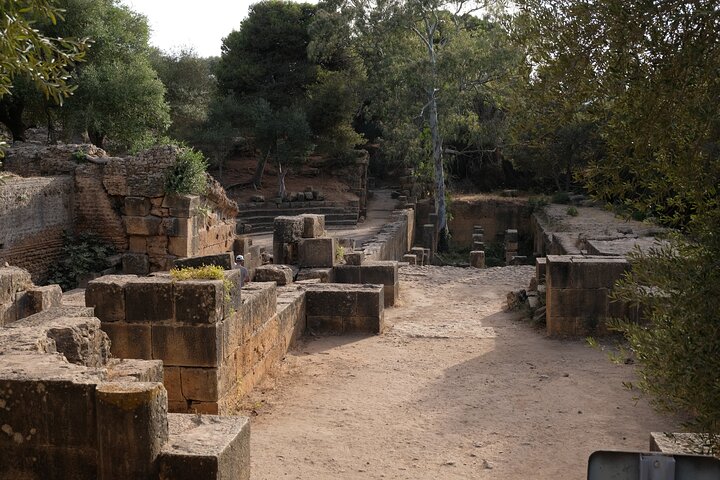 Explore the Ruins of Tipaza and Cherchell