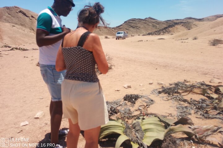 Welwitschia Exclusive Tour in the Moonlandscape, Swakopmund