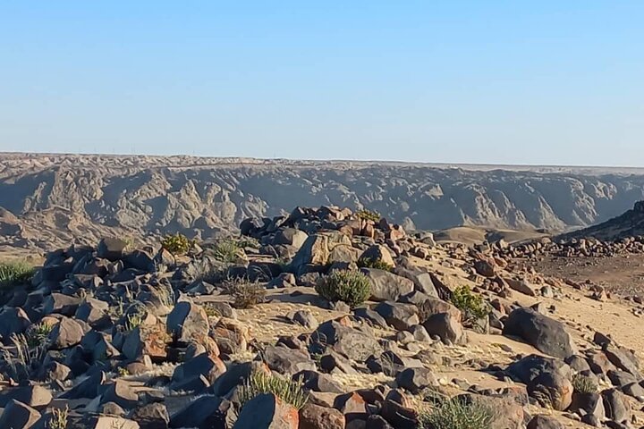 Welwitschia Exclusive Tour in the Moonlandscape, Swakopmund