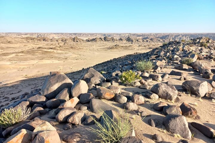 Welwitschia Exclusive Tour in the Moonlandscape, Swakopmund