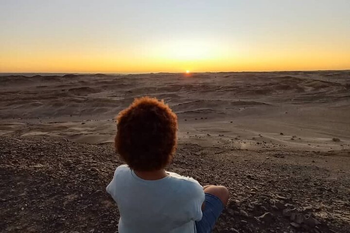 Welwitschia Exclusive Tour in the Moonlandscape, Swakopmund