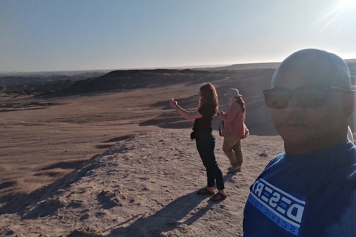 Welwitschia Exclusive Tour in the Moonlandscape, Swakopmund