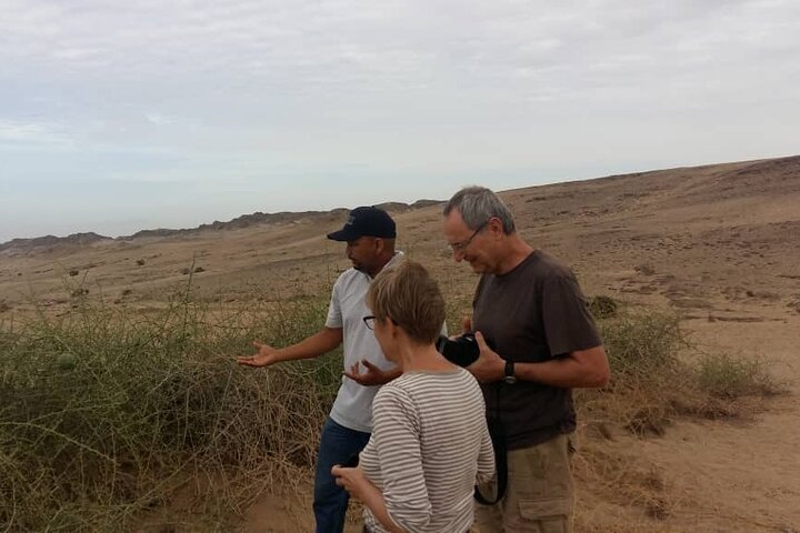 Welwitschia Exclusive Tour in the Moonlandscape, Swakopmund
