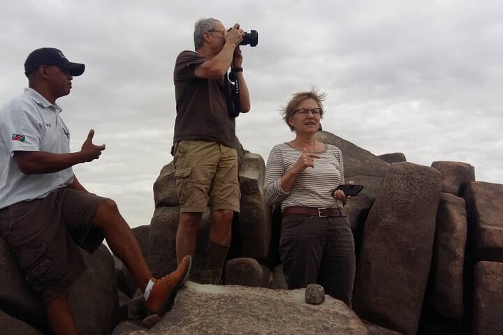 Welwitschia Exclusive Tour in the Moonlandscape, Swakopmund