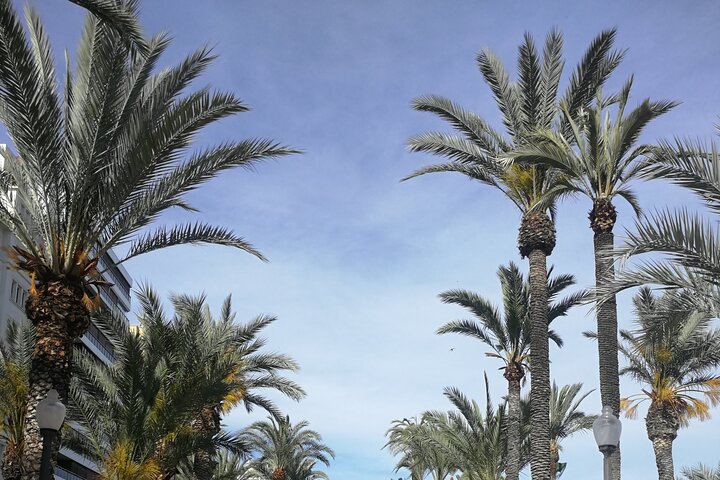 Alicante Tour: Full City, Castle, Market & Tapas Experience