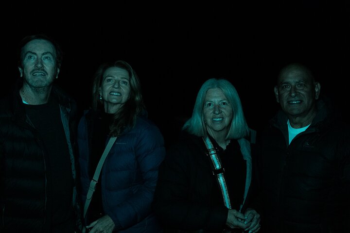 Evening Rainforest & Glow Worm Tour from Gold Coast