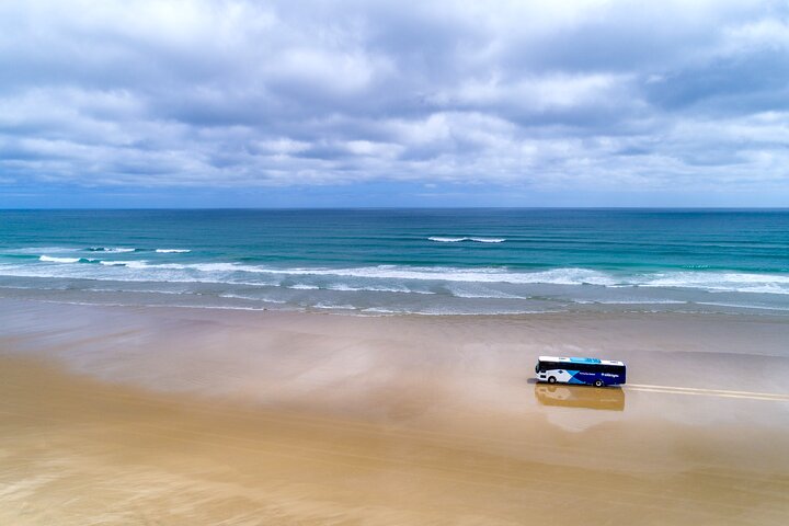 Far North New Zealand Tour Including 90 Mile Beach and Cape Reinga from Paihia