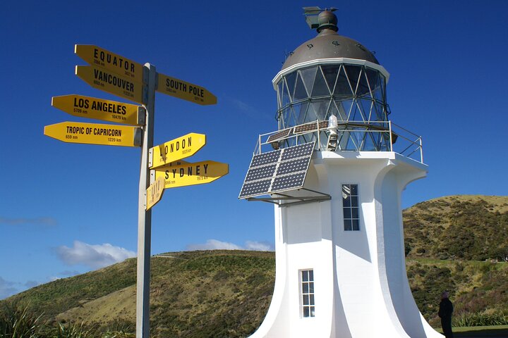 Far North New Zealand Tour Including 90 Mile Beach and Cape Reinga from Paihia