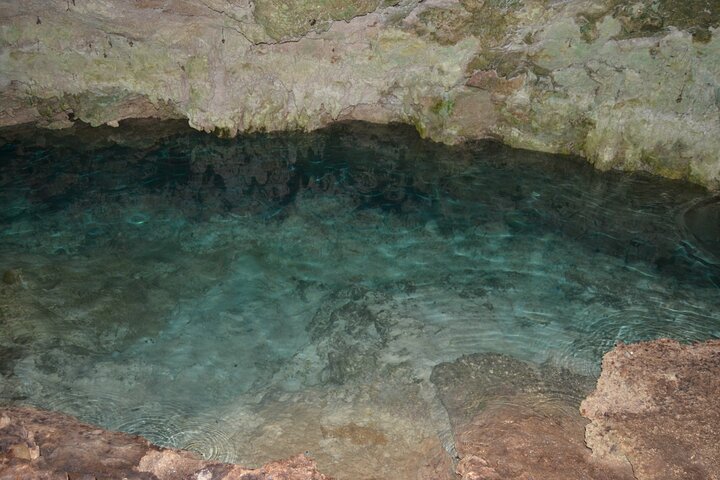 Full-day Tour Mnemba Jozani Forest Kuza Cave Paje Beach The Rock