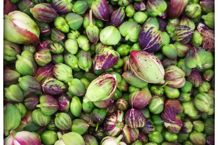 Cappero di Salina: Un'Esperienza di Degustazione Unica
