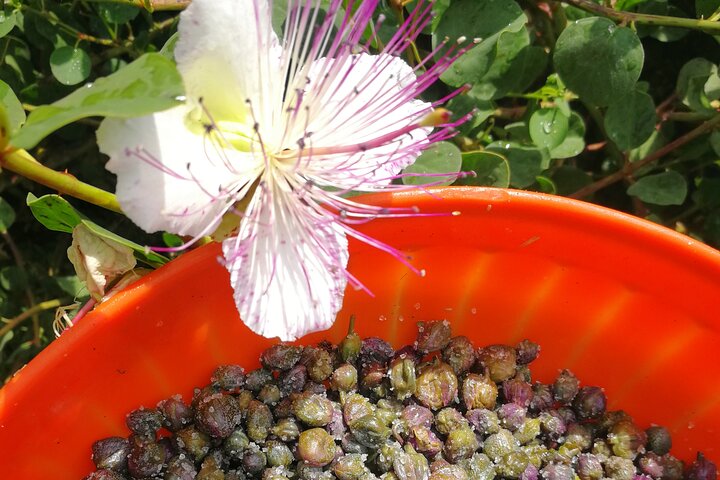 Cappero di Salina: Un'Esperienza di Degustazione Unica