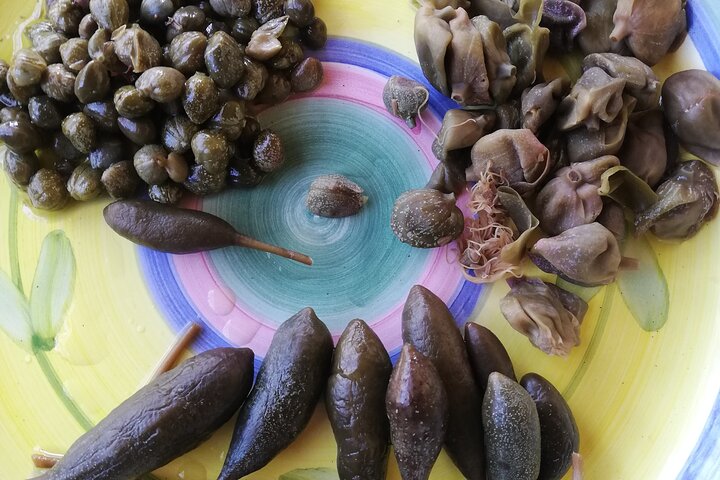 Cappero di Salina: Un'Esperienza di Degustazione Unica
