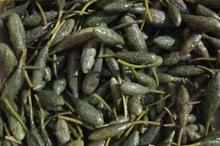 Cappero di Salina: Un'Esperienza di Degustazione Unica