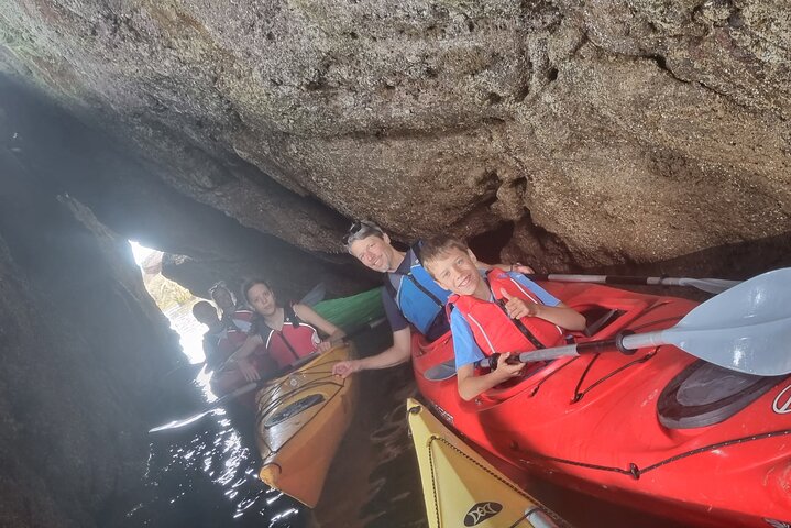 Wildlife, Sea Cave and Bushcraft Kayak Safari in English Riviera