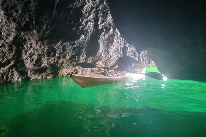 Wildlife, Sea Cave and Bushcraft Kayak Safari in English Riviera
