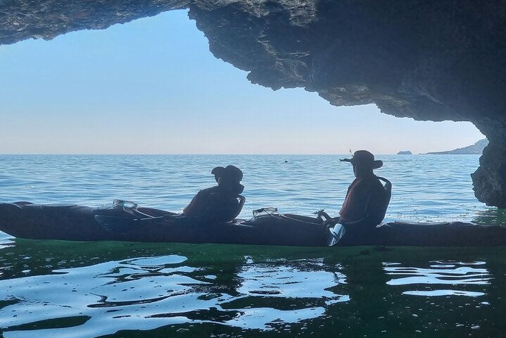 Wildlife, Sea Cave and Bushcraft Kayak Safari in English Riviera