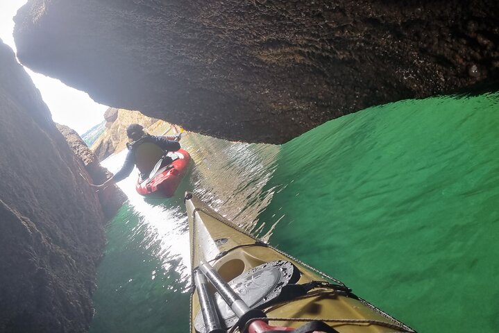 Wildlife, Sea Cave and Bushcraft Kayak Safari in English Riviera