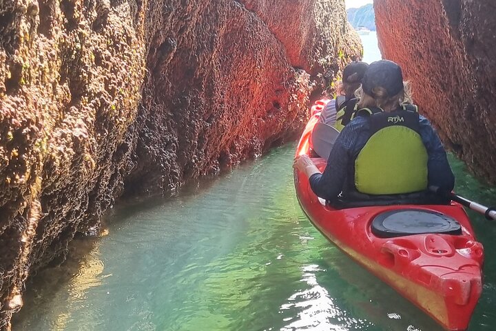 Wildlife, Sea Cave and Bushcraft Kayak Safari in English Riviera