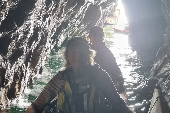 Wildlife, Sea Cave and Bushcraft Kayak Safari in English Riviera