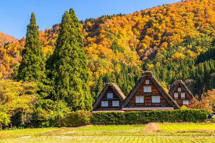 Gujo, Hida Takayama, and Shirakawa-go Day Tour from Nagoya