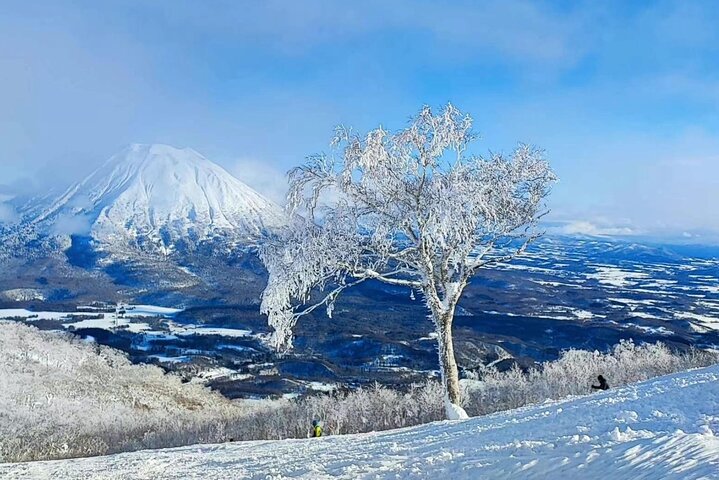 Between Sapporo and New Chitose Airport: Private One-Way Transfer