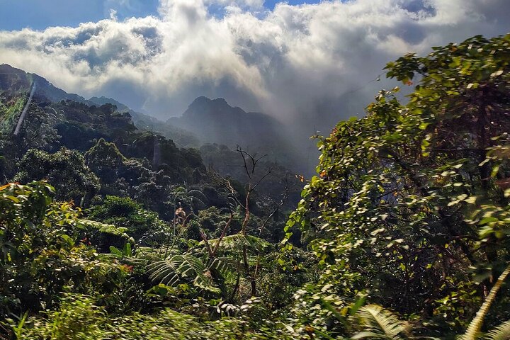 Luxury Bach Ma National Park Small Group Tour from Hue Da Nang