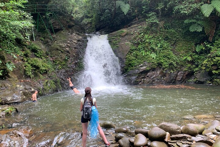 Luxury Bach Ma National Park Small Group Tour from Hue Da Nang