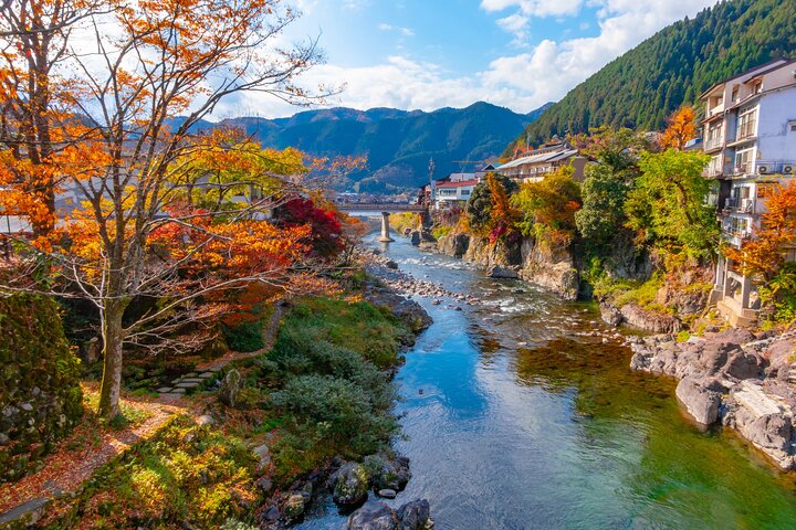 Gujo, Hida Takayama, and Shirakawa-go Day Tour from Nagoya