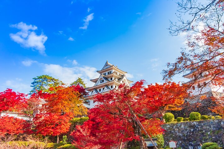 Gujo, Hida Takayama, and Shirakawa-go Day Tour from Nagoya