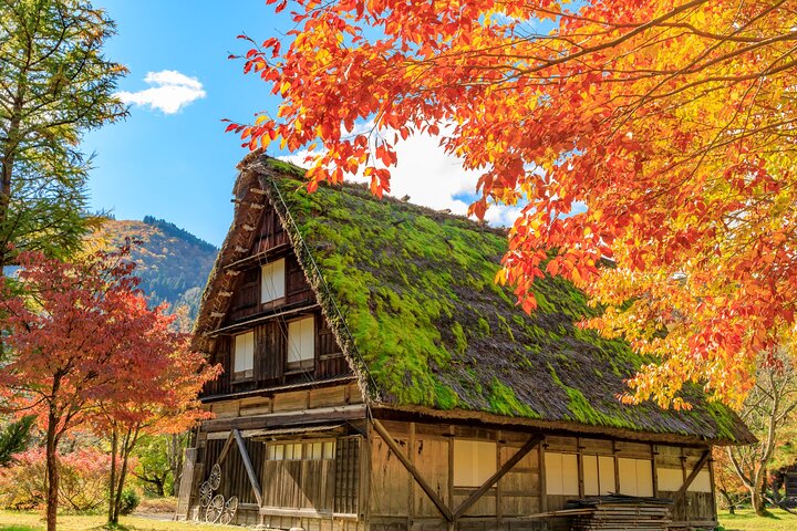 Gujo, Hida Takayama, and Shirakawa-go Day Tour from Nagoya