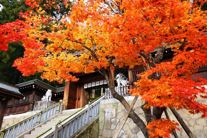 Gujo, Hida Takayama, and Shirakawa-go Day Tour from Nagoya