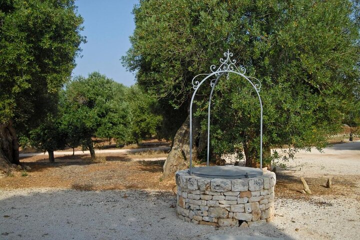 Ostuni : Tasting of Extra Virgin Olive Oil in Masseria