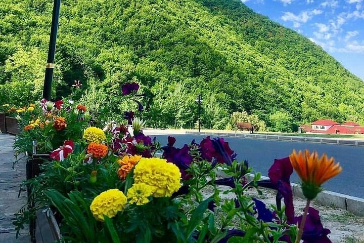 1 day Shamakhi and Gabala tour