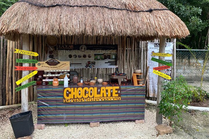 ATV 4×4+Snorkeling+Beach Club+ Lunch+Sabores de Cozumel