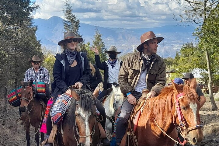 Puerto Quetzal Pacaya Volcano Horseback Ride with Lava Pizza