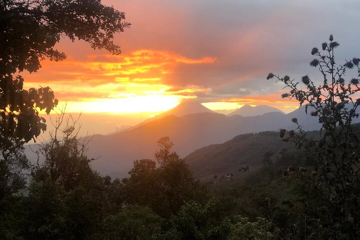 Puerto Quetzal Pacaya Volcano Horseback Ride with Lava Pizza